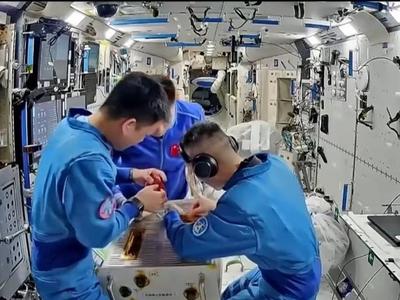 还在太空“出差”的三位航天员最近在忙什么？