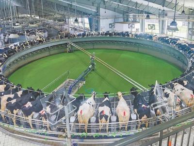 记者蹲点｜土特产里看“智慧”