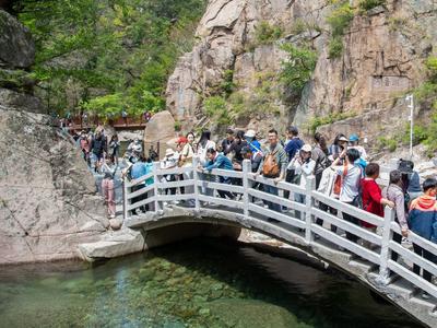 别跑空！7月8日起，崂山风景区、二龙山景区暂停开放