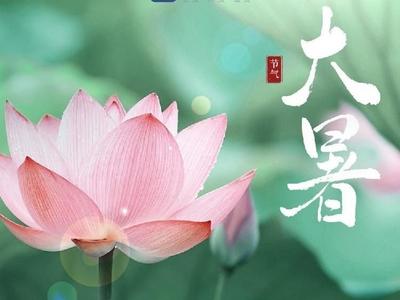 海报长图｜时逢大暑至 万象正韶华