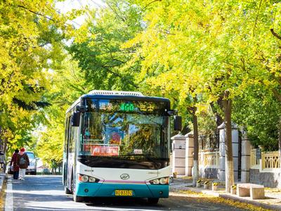 出行提醒！青岛这两条公交线路优化调整→
