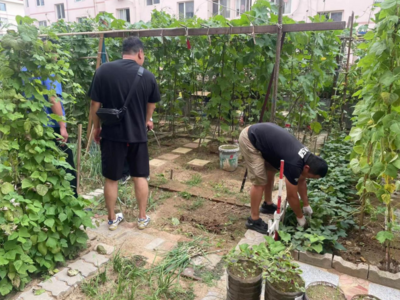 整治圈地种菜，还原宜居环境