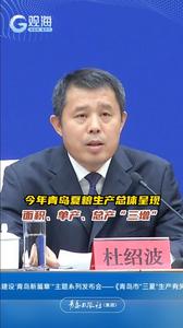 今年青岛夏粮生产总体呈现面积、单产、总产“三增”