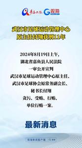 武汉市足球运动管理中心原主任付翔获刑11年