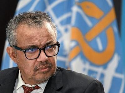 世卫组织宣布猴痘构成“国际关注的突发公共卫生事件”