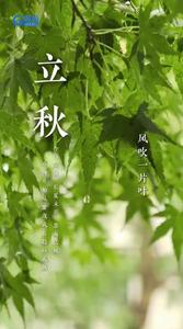 今日立秋丨长夏未尽，忽而已秋