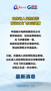 山东省人民检察院依法对龙飞决定逮捕
