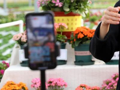 货不对板、夸大功效……直播带货虚假宣传何时休？