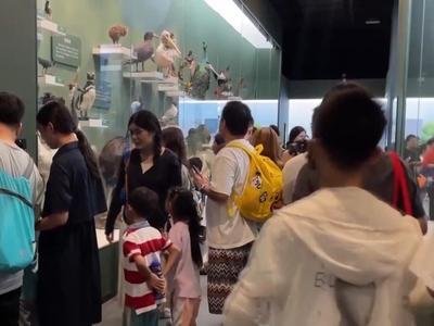 免费热门景点预约票“秒没”，为何“黄牛”手里却有票？