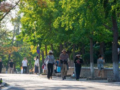 山东国庆天气来了！2-4日早晨气温低，总体利于出行