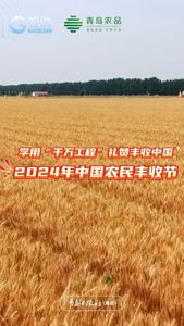 在青岛，赴一场秋实之约