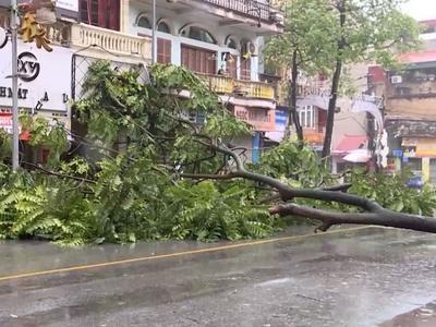 台风“摩羯”在越南造成58人死亡、40人失踪