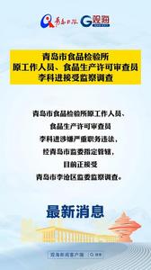青岛市食品检验所原工作人员、食品生产许可审查员李科进接受监察调查