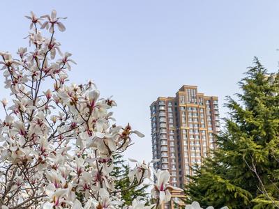 小区花坛放生蟑螂为哪般？专家：随意放生或涉嫌违法