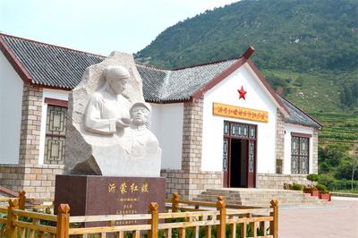 沂蒙红嫂祖秀莲：我为亲人熬鸡汤