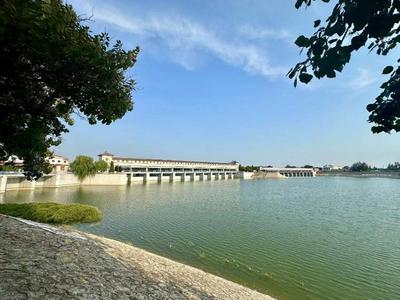 文化“两创”·政协在线｜德州两河“牵手”流出文化“活水”