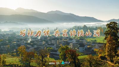 回放 | 与秋为伴 共赏锦绣山河