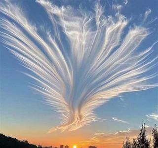 湖北天空出现“凤舞九天”奇观，专家解释是一片漂亮的毛卷云
