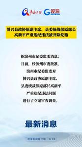 博兴县政协原副主席、县委统战部原部长高新平严重违纪违法被开除党籍