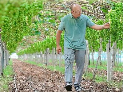 【产业赋能致富路】“耕读渔樵”乡村旅游 青岛莱西湖畔的“致富经”