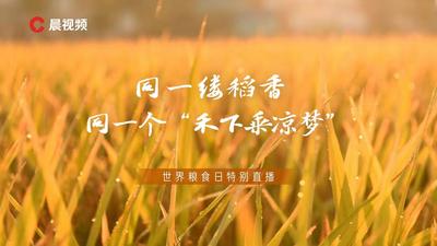 世界粮食日 | 同一缕稻香，同一个“禾下乘凉梦”