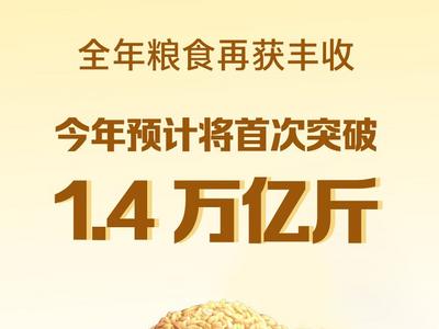 今年粮食产量预计将首次突破1.4万亿斤