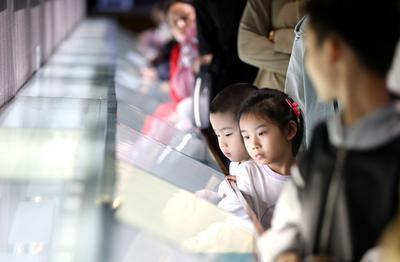 2026年文化和自然遗产日， 公益鉴定咨询活动报名啦！