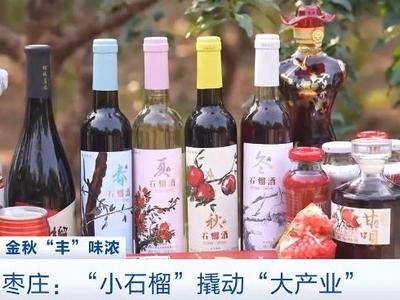 “小石榴”撬动“大产业”！这里的石榴全产业链年产值近40亿元