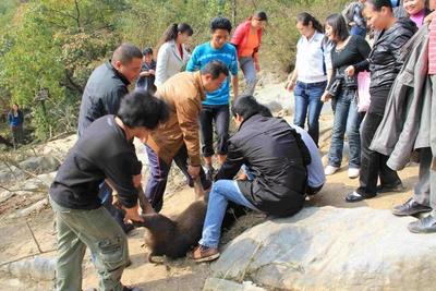 四川九皇山景区已取消“徒手逮猎”项目