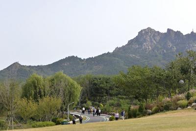 清明将至，隐患陡增，山东公布五起森林火灾典型案例