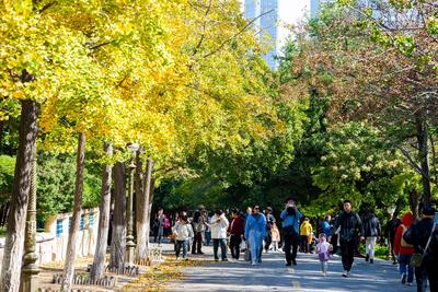 新一股全国性冷空气在酝酿，冰冻线或推到南方