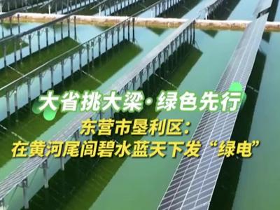 行走黄河｜东营市垦利区：在黄河尾闾碧水蓝天下发“绿电”