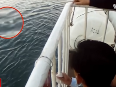 现实版“消失的她”！为巨额保金推妻坠海致其身亡，事后还在酒店招嫖……