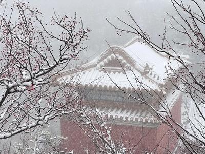 泰山迎来今冬首场降雪