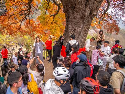 年假可以跨年休吗？换工作后当年能休吗？权威解答→