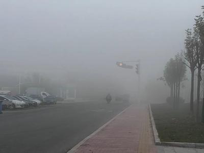 未来三天山东降雨上线，周末大风降温来袭！