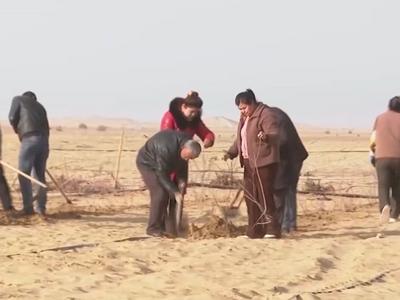 还剩最后1公里！塔克拉玛干沙漠“锁边合龙”即将完成