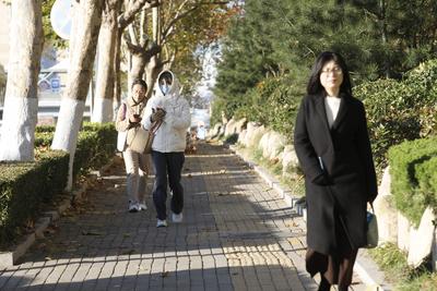 青岛继续发布市南区、市北区、李沧区寒潮蓝色预警信号