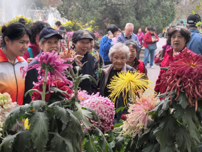 菊海畅游乐龄行，金门路民政服务站开展独居老人关爱陪伴活动