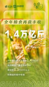 有理数丨全国粮食再获丰收，晒晒山东好“丰景”