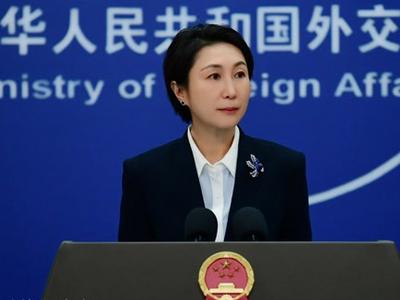 外交部：三名被美方错误羁押的中国公民平安回到祖国