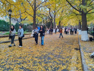 冷空气接二连三影响我国，北方多地气温将现快节奏波动