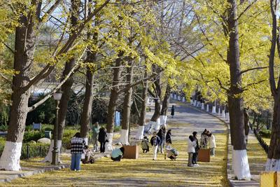 赏秋去！全国秋高气爽地图出炉，这些地方宜出游