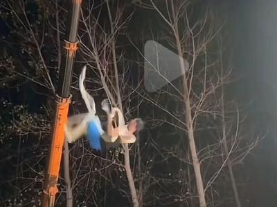 杂技演员直播时坠落砸地，其妻子曾因杂技表演坠亡