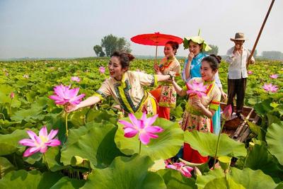滕州深化“农是根、文是魂、旅是花、富是果”理念，铺就乡村共富路