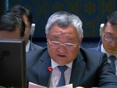 中方代表：美独家否决加沙停火使安理会陷于瘫痪