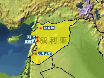 西北重镇大部失守，叙利亚首都大马士革迎来关键48小时