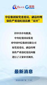 中信集团原党委委员、副总经理徐佐严重违纪违法被“双开”