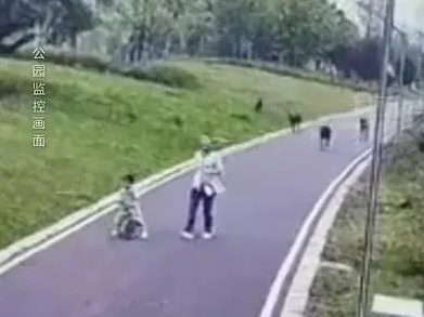 观海快评 | 到底怎样才能拴好安全绳？