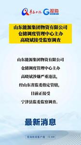 山东能源集团物资有限公司仓储调度管理中心主办高晓斌接受监察调查